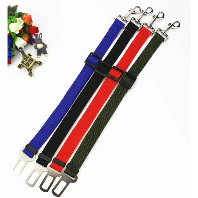 pasdoautaprepsa-51056_ESHOP_0