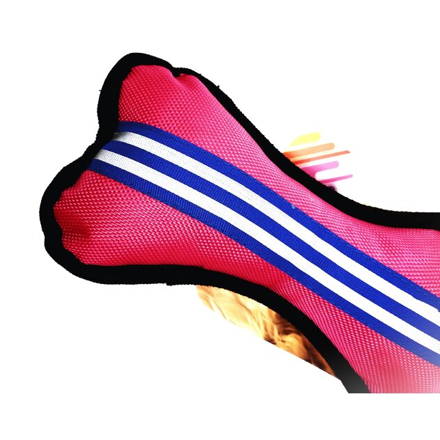 IMG_20250219_145625986-