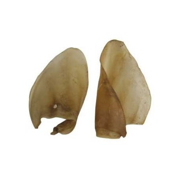 Ucho_hovädzie_bez_záušku-