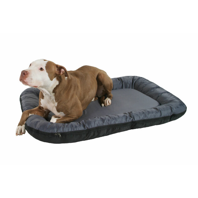 excellenteconomy-model-