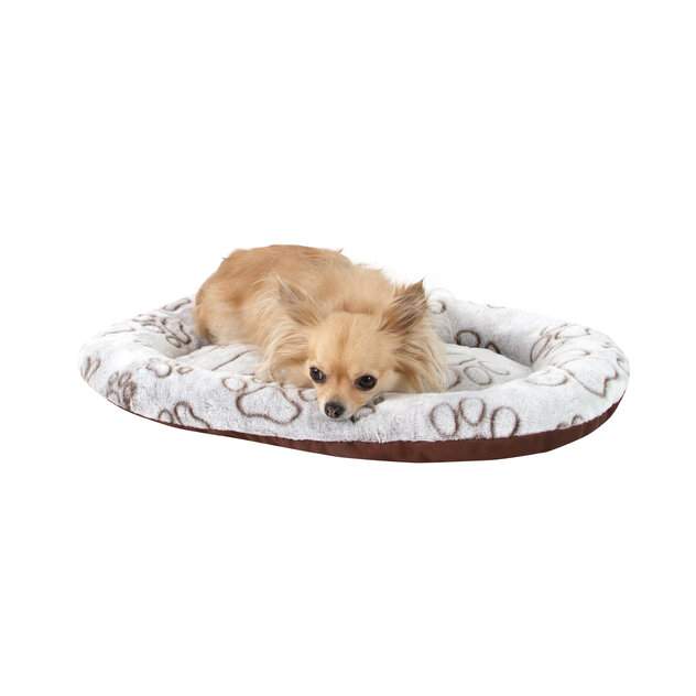 poduskatrendy-model-