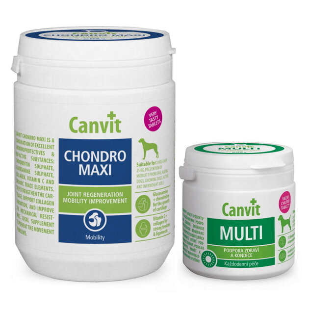 canvit-chondro-