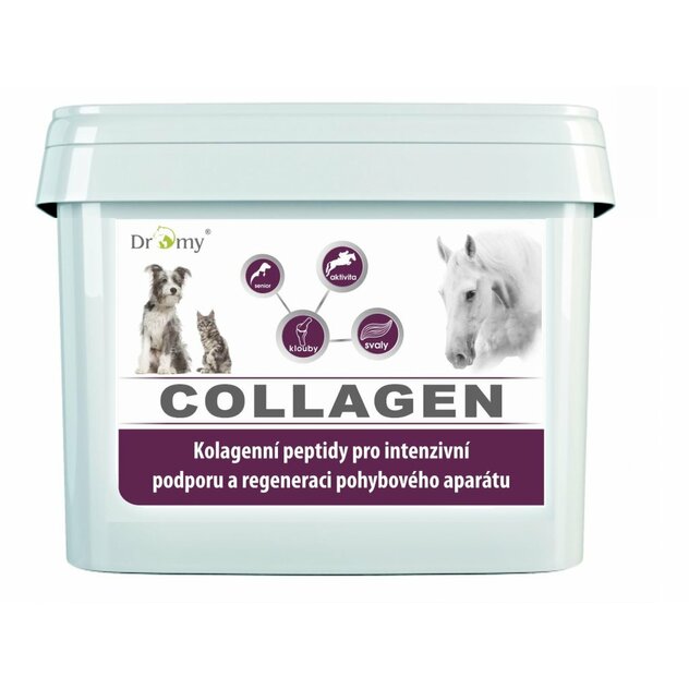 collagen-