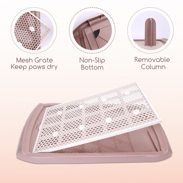 toaleta2lyhkocfqouu-