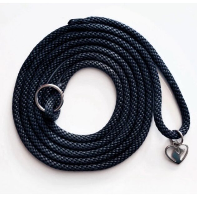 balrion_ciernelatsyartjts-