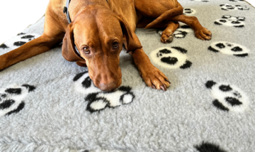 Deky VetBed / DryBed originál z Anglicka