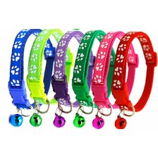 Sada rozlišovacích obojkov 2