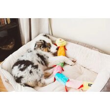 Zippy Paws Stonožka 77 cm XL