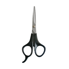 Nobleza nožnice na strihanie srsti 5,5 x 17cm