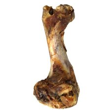 Bravčová kosť 1ks