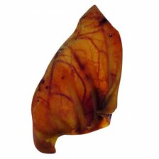 Ucho bravčové XL 13-25cm/30-90g