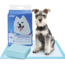 Nobleza výcvikové podložky 60 x 60 cm 50 ks