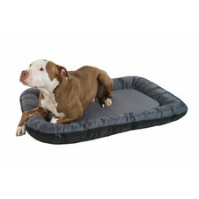 Excellent Economy 97x76cm sivá