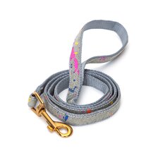 Nobleza vodítko PAINT 2,5cm x 120cm svetlosivá