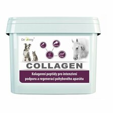 Dromy Collagen 2,5 kg