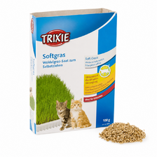 TRIXIE tráva pre mačku v miske 100g