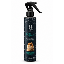 HYDRA Luiz Renato Profesionálny Finálny Sprej 240ml Final Touch