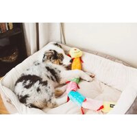 Zippy Paws Stonožka 77 cm XL