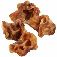 Bravčová ušnica 200g