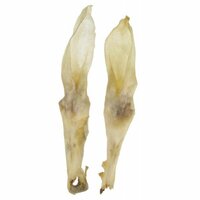 Ucho zajačie 20cm/10g