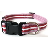 Nobleza nylonový obojok s reflexným prešitím 2,5 x 45 - 66 cm červený