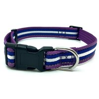 Nobleza nylonový obojok s reflexným prešitím 2,5 x 45 - 66 cm fialový