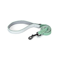 Vodítko jednofarebné 120 cm x2,5cm zelená