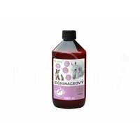 Dromy Echinaceový sirup 1 l