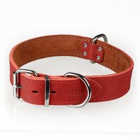 CLYDE kožený obojok pre psa 65 × 4 cm – bordový