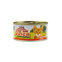 LÍZA konzerva 120g lososová