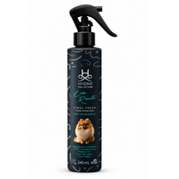HYDRA Luiz Renato Profesionálny Finálny Sprej 240ml Final Touch